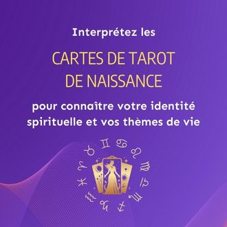 Vignette ATE CTN 2